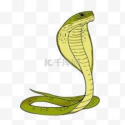 蛇动物卡通图片_卡通绿色眼镜蛇剪贴画