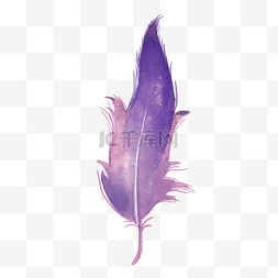 羽毛紫色梦幻绒毛图片