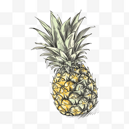 卡通菠萝水果图片_卡通风格水果元素
