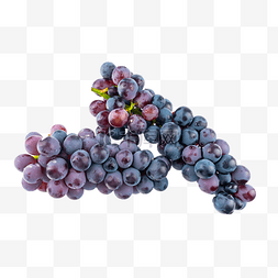 新鲜水果大串葡萄