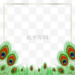 红色孔雀羽毛图片_红绿色孔雀羽毛边框