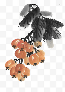 水墨枇杷国画果树