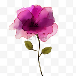 紫红色抽象水彩花卉