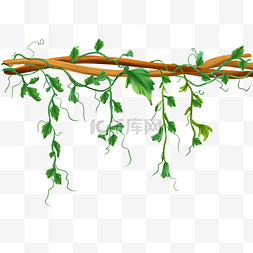 带枝叶的橄榄图片_绿色植物藤蔓枝叶