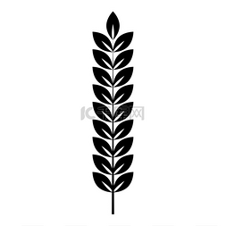 粮食平面图片_小麦小穗植物分支图标黑色矢量插
