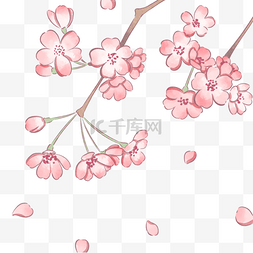 简单粉色水彩风格盛开的樱花