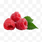 树莓浆果完整水果