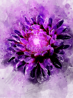抽象绽放花朵图片_紫色的大丽花