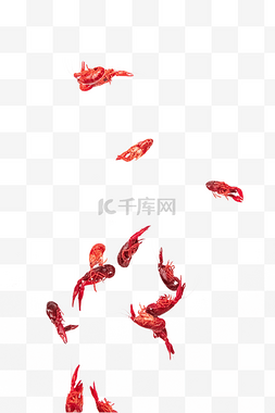 水产海鲜活虾龙虾图片_飞起来的小龙虾