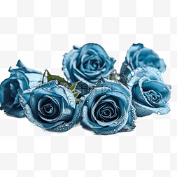 动物石化图高清图片_高清免扣花卉摄影蓝玫瑰设计素材