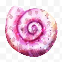 螺旋螺田螺紫色梦幻图片