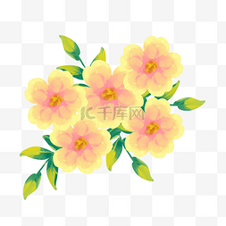 黄粉色油画棒花朵植物