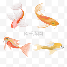 红黄锦鲤年年有鱼
