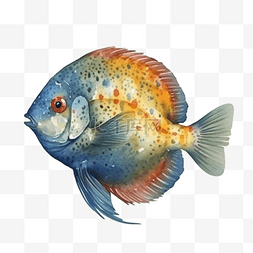 卡通手绘鱼类热带鱼