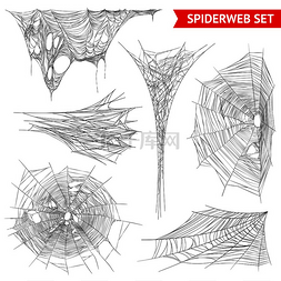 各种类型的蜘蛛网和蜘蛛网结构在