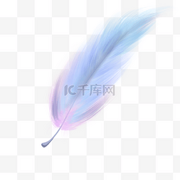 羽毛做的华盖图片_梦幻紫色蓝色羽毛