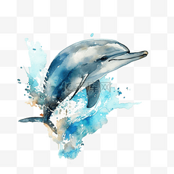 手绘水彩动物海豚