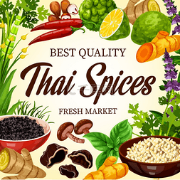草药海报图片_泰国烹饪香料、香草和亚洲美食香