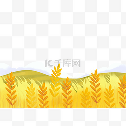 金色母牛图片_芒种金色小麦