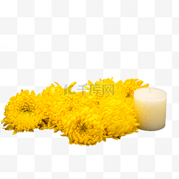 菊花黄色花卉图片_菊花花朵和蜡烛