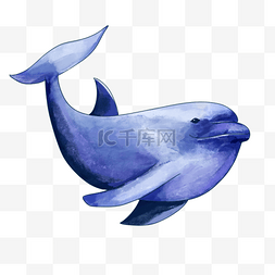 水彩可爱的蓝鲸