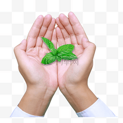 公益环保绿色图片_希望环保绿色手势低碳