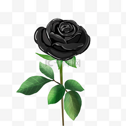 玫瑰植物叶子黑色风格