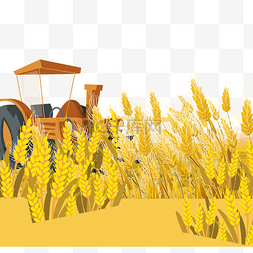 国际消除贫困日秋收丰收小麦