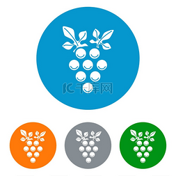 葡萄树装饰图片_葡萄酒分支平面图标集。