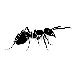 卡通小蚂蚁图片_蚂蚁图标