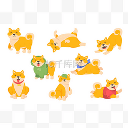 有趣的akita小狗组。快乐可爱的日
