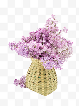 紫丁香鲜花花篮