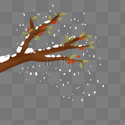 冬天冬季挂雪落雪树枝枝干