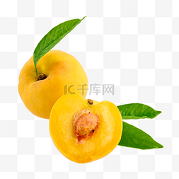 黄桃水蜜桃果肉果实黄色