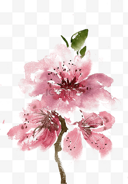 粉色水墨画图片_粉色的桃花