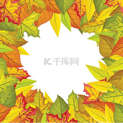 秋天的树叶矢量框架。