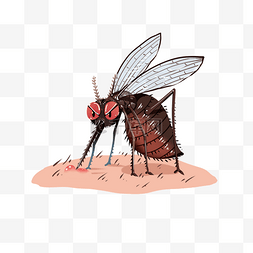 蚊子躲避图片_夏季夏天昆虫害虫蚊子蚊虫叮咬夜