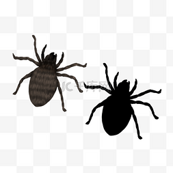 蜘蛛黑色卡通风格