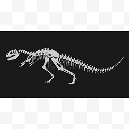 恐龙骨骼的插图