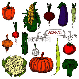 春花椰菜图片_有机种植的成熟番茄、甜菜、橙色