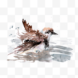 水波水墨画图片_水中觅食的小鸟