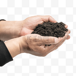 土壤里的根系图片_手捧黑色土壤