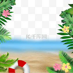 夏季植物叶子海边沙滩