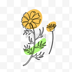局部渲染叶子黄色花朵简笔画