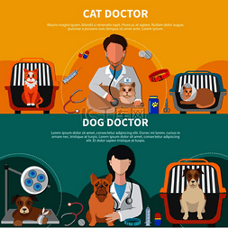 板条图片_动物护理专业人员为猫狗兽医提供