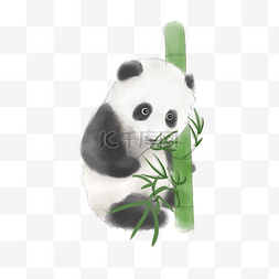 水彩熊猫抱竹子吃竹叶