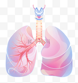 蓝色医疗素材图片_人体肺部蓝色