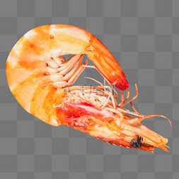 海鲜大虾食物