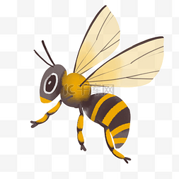 展翅飞翔的蜜蜂