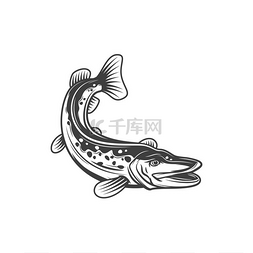 钓鱼标志图片_派克鱼捕鱼和食物媒介图标淡水鱼